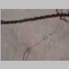 Neuronas Golgi 30.jpg